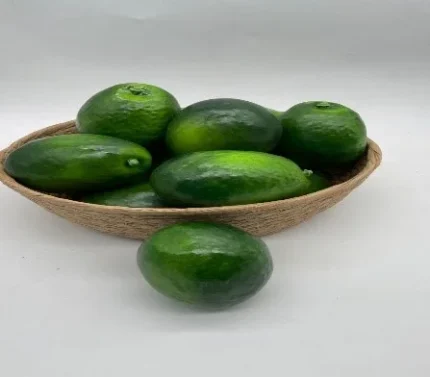 فواكه صناعية للديكور شكل الافوكادو